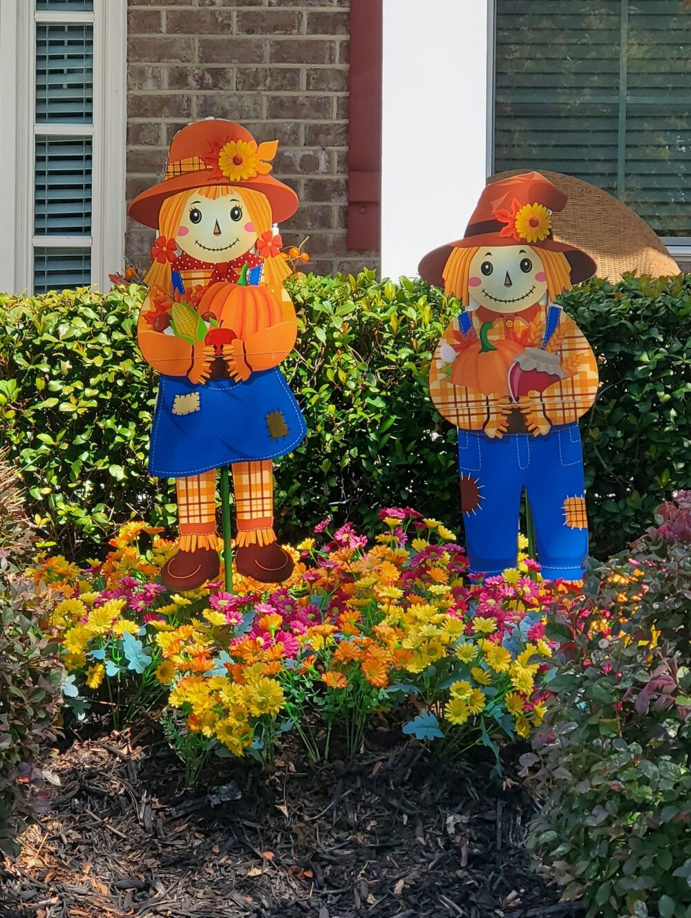 Welcome Fall.